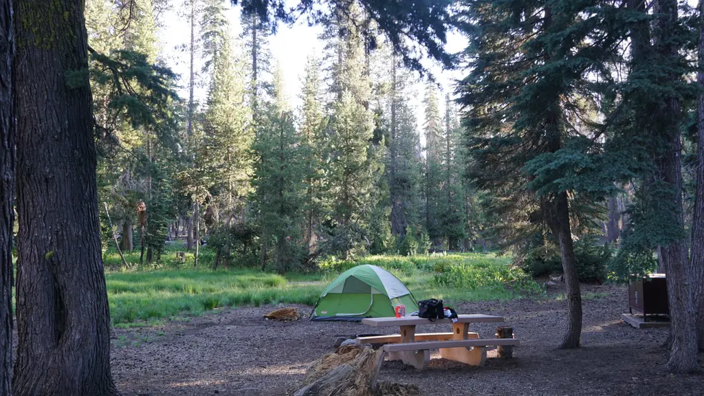 Campsite